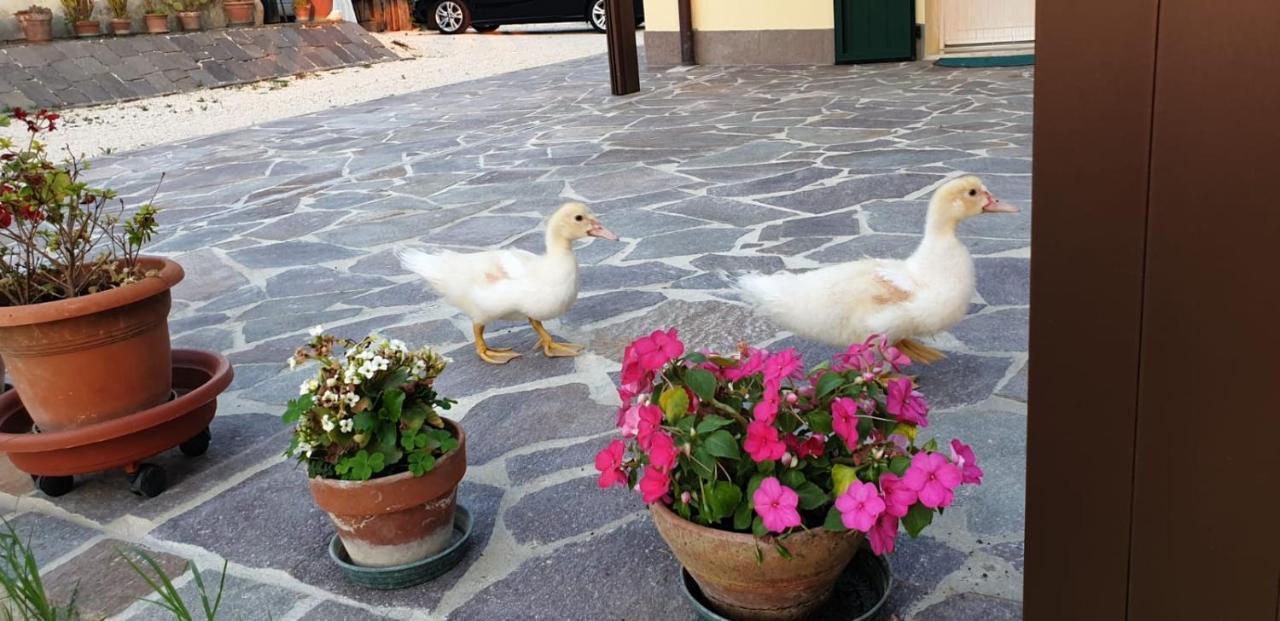 Borgo Tarapino Hotell Ferrara Eksteriør bilde