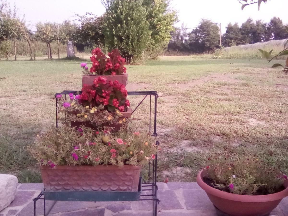 Borgo Tarapino Hotell Ferrara Eksteriør bilde